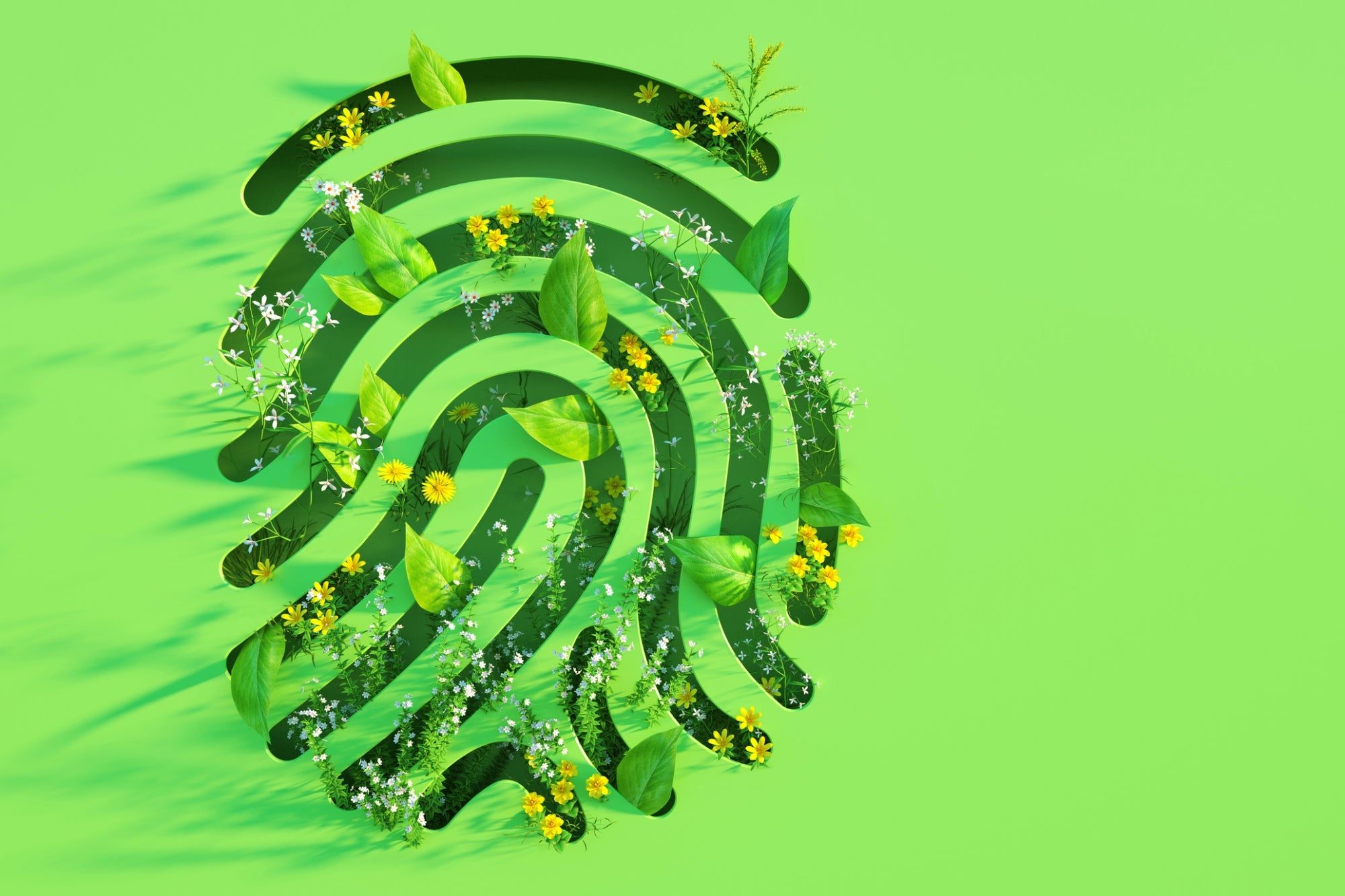 Fingerprint design made of green leaves and yellow flowers on a bright green background.