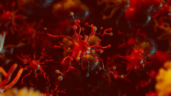 Red and orange abstract organic shapes resembling microscopic organisms on a dark background.