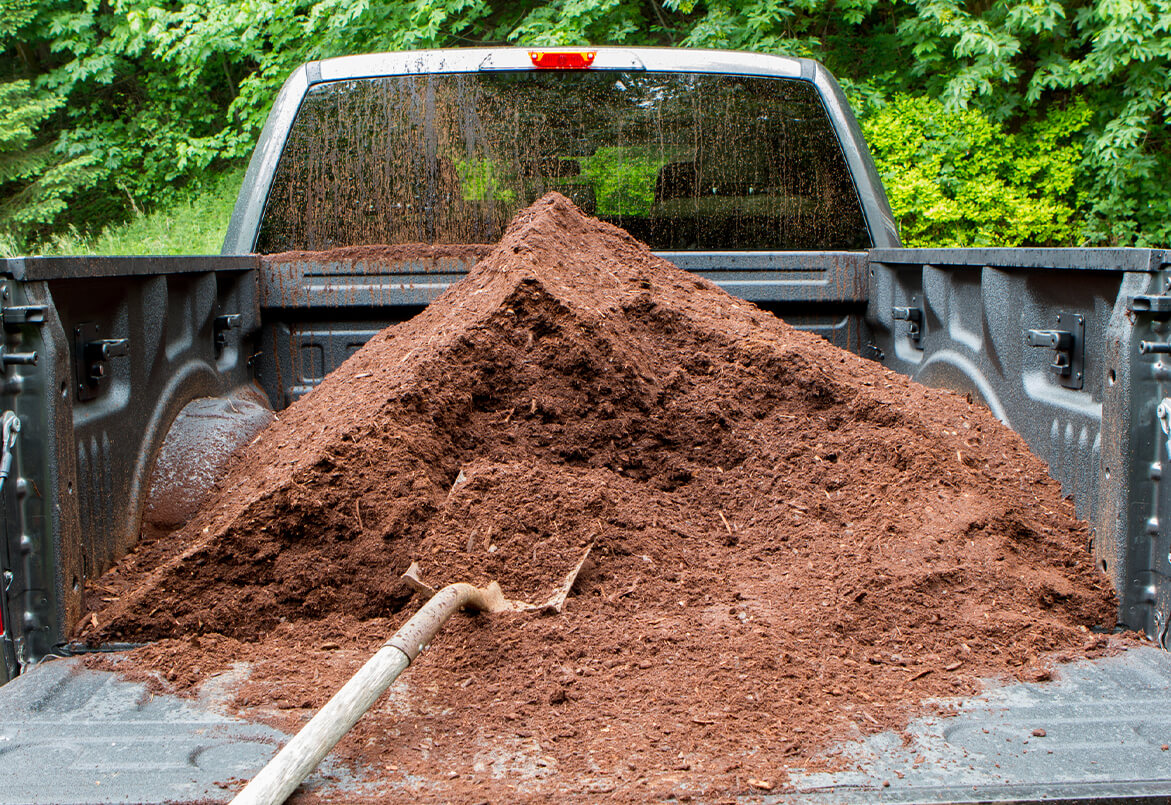 Pickup truck bed filled with mulch, shovel protruding, surrounded by greenery.