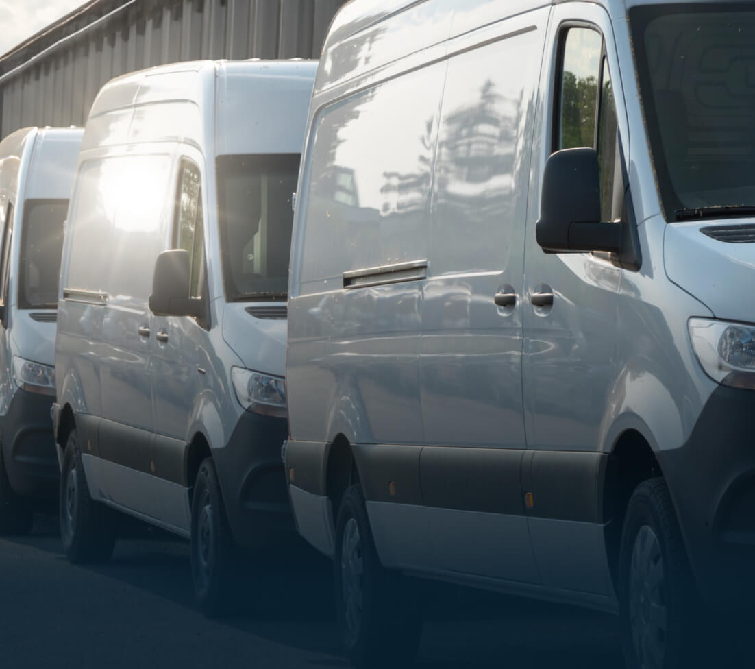 Several white delivery vans parked in a line on a sunny day.